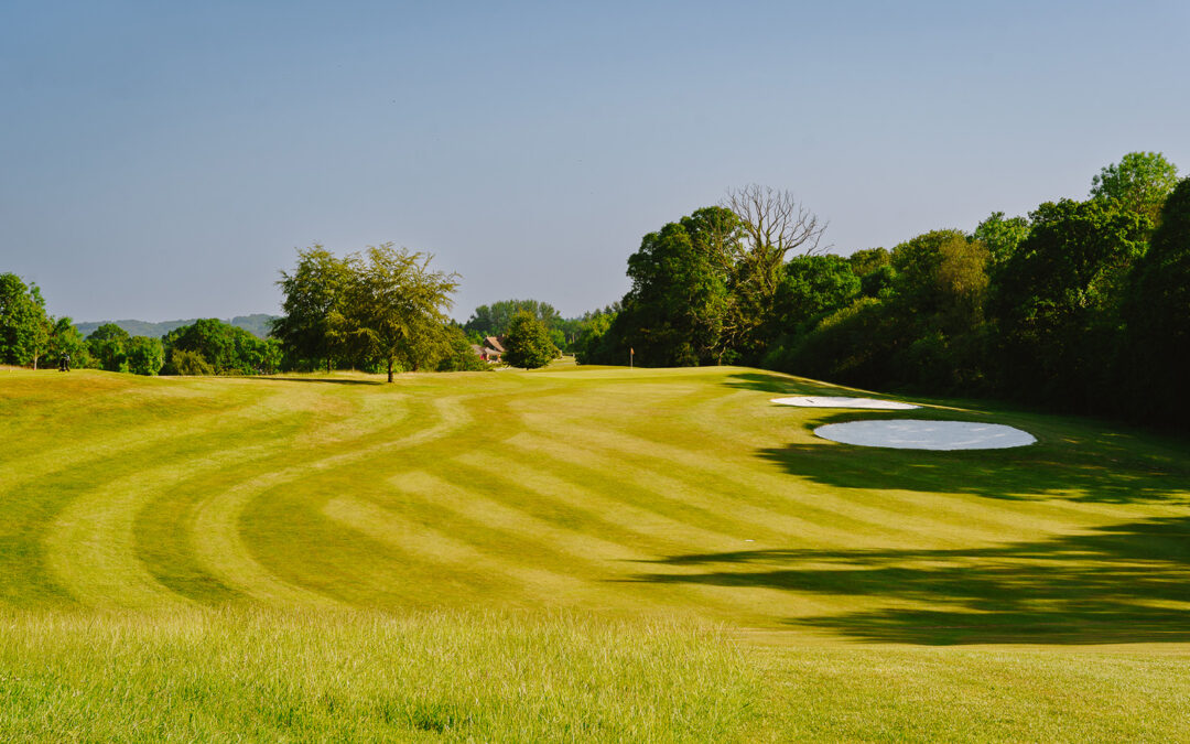 Summer 2023 Golf at Hamptworth